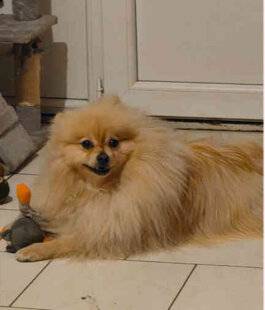 Nous Deux 4099 Trop mignon !