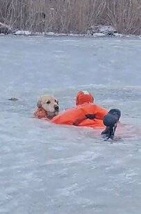 Nous Deux 4100 Sauvé des eaux