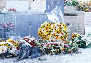 Nous Deux 4100 Un hommage sous le signe du phoque