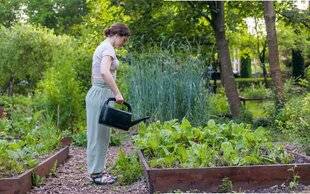 Nous Deux 4100 Moins de surface, plus de légumes !