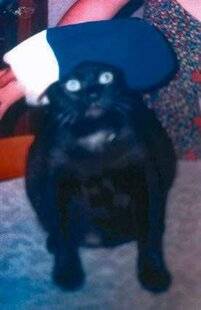 Nous Deux 4102 Trop mignon !