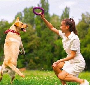 Nous Deux 4102 Le jeu des 7 familles pour chiens