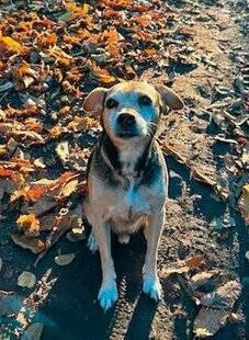 Nous Deux 4103 Trop mignon !