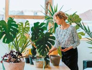 Nous Deux 4103 Toujours prêts, mes assistants jardiniers