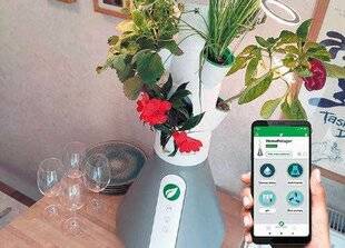 Nous Deux 4103 Ça, c'est malin !