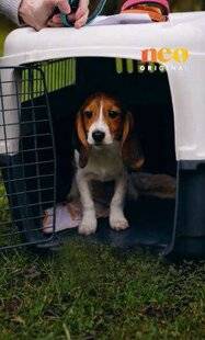 Nous Deux 4104 Rendez-vous en terre inconnue