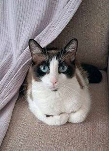 Nous Deux 4104 Trop mignon !