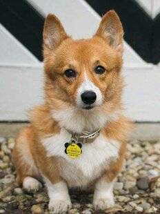 Nous Deux 4105 Ça s'est passé un… 8 MARS