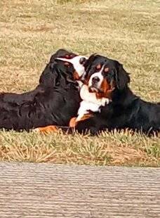 Nous Deux 4105 Trop mignon !