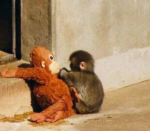 Nous Deux 4106 Sauvé par un doudou