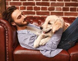 Nous Deux 4106 Les 5 clés d'une coh abitation réussie avec son chien