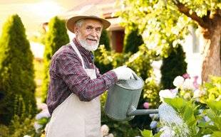 Nous Deux 4108 Que planter face au changement climatique ?