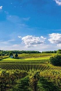 Nous Deux 4109 Cœur de Saintonge