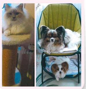 Nous Deux 4109 Trop mignon !