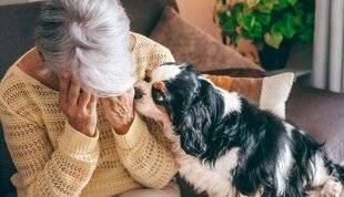 Nous Deux 4111 « J'ai vécu pendant deux mois avec un voleur