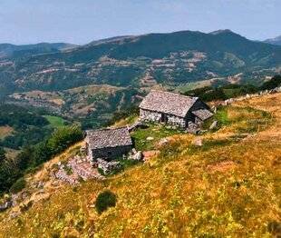 Nous Deux 4112 Crépitante Auvergne