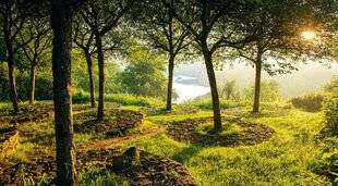 Nous Deux 4118 Les jardins en fête