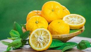 Nous Deux 4119 Connaissez-vousle yuzu ?