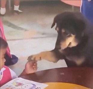 Nous Deux 4120 À bonne école