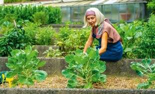 Nous Deux 4120 Augmenter ses récol tes