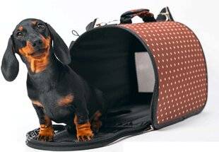 Nous Deux 4121 Comment choisir le bon sac ?