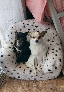 Nous Deux 4121 Trop mignons !