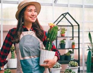 Nous Deux 4124 Prenez soin de vos cactus, ils vous le rendront !