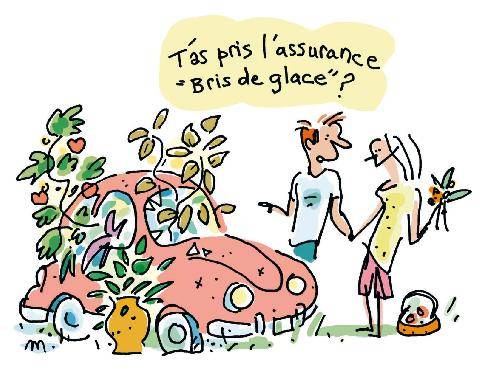 Nous Deux 4126 Un véhicule doit-il être assuré même s’il n’est pas utilisé ?