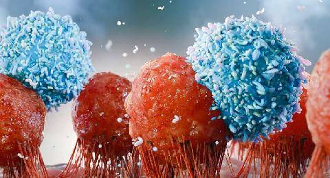 Nous Deux 4131 L’immuno thérapie Un pas de géantcontre le cancer !