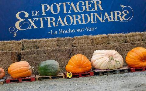 Nous Deux 4131 Le Potager extraordinaire de La Roche-sur-Yon