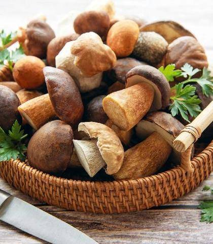 Nous Deux 4132 5 bonnes raisons de manger des champignons