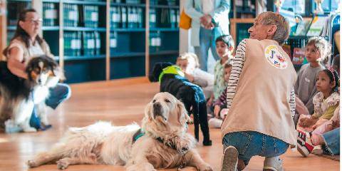 Nous Deux 4133 La semaine des chiens est ouverte