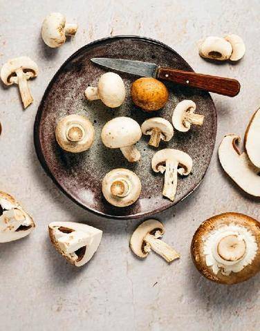 Nous Deux 4134 LE CHAMPIGNON DE PARIS UNE CUEILLETTE PLEINE DE BIENFAITS