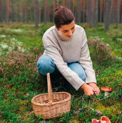 Nous Deux 4135 Le top 10 des aliments d’automne bons pour la santé