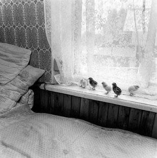 Réponses Photo 367 Immersion