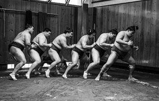 Réponses Photo 373 Les 5 gagnants