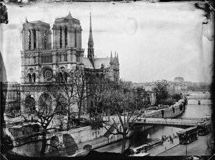 Réponses Photo 373 Implantée depuis deux ans à Arles,