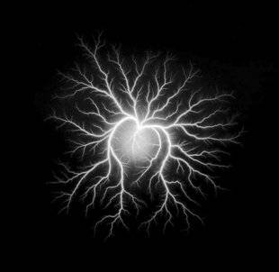 Réponses Photo 373 Un week-end d'expériences