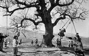 Réponses Photo 373 La photo au jardin