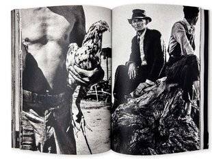 Réponses Photo 373 La FSA revisitée