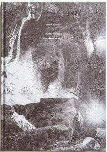 Réponses Photo 373 Mues