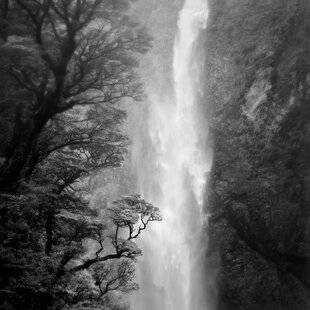 Réponses Photo 376 Définir son style en nuances de gris