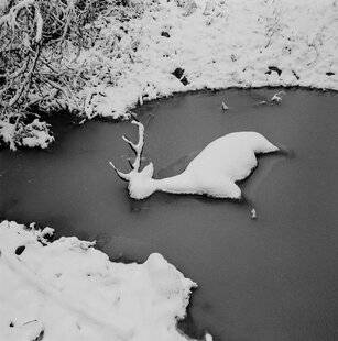 Réponses Photo 381 Au rythme de la nature