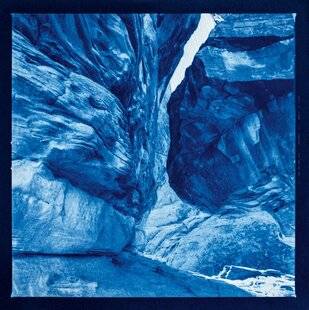 Réponses Photo 382 L'art du cyanotype