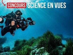 Réponses Photo 385 Photo de science