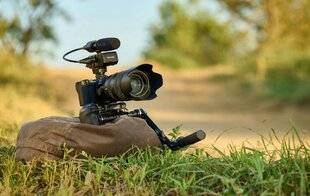 Réponses Photo 385 LA VIDÉO 24×36 À TOUS LES PRIX