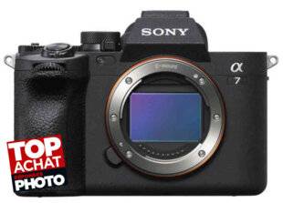 Réponses Photo 385 Toujours là !