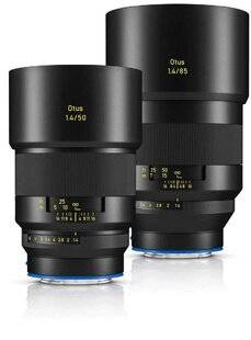 Réponses Photo 385 Retour en beauté