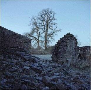 Réponses Photo 386 Le mois de Palaiseau