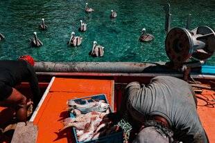 Réponses Photo 386 Les analyses critiques de la rédaction